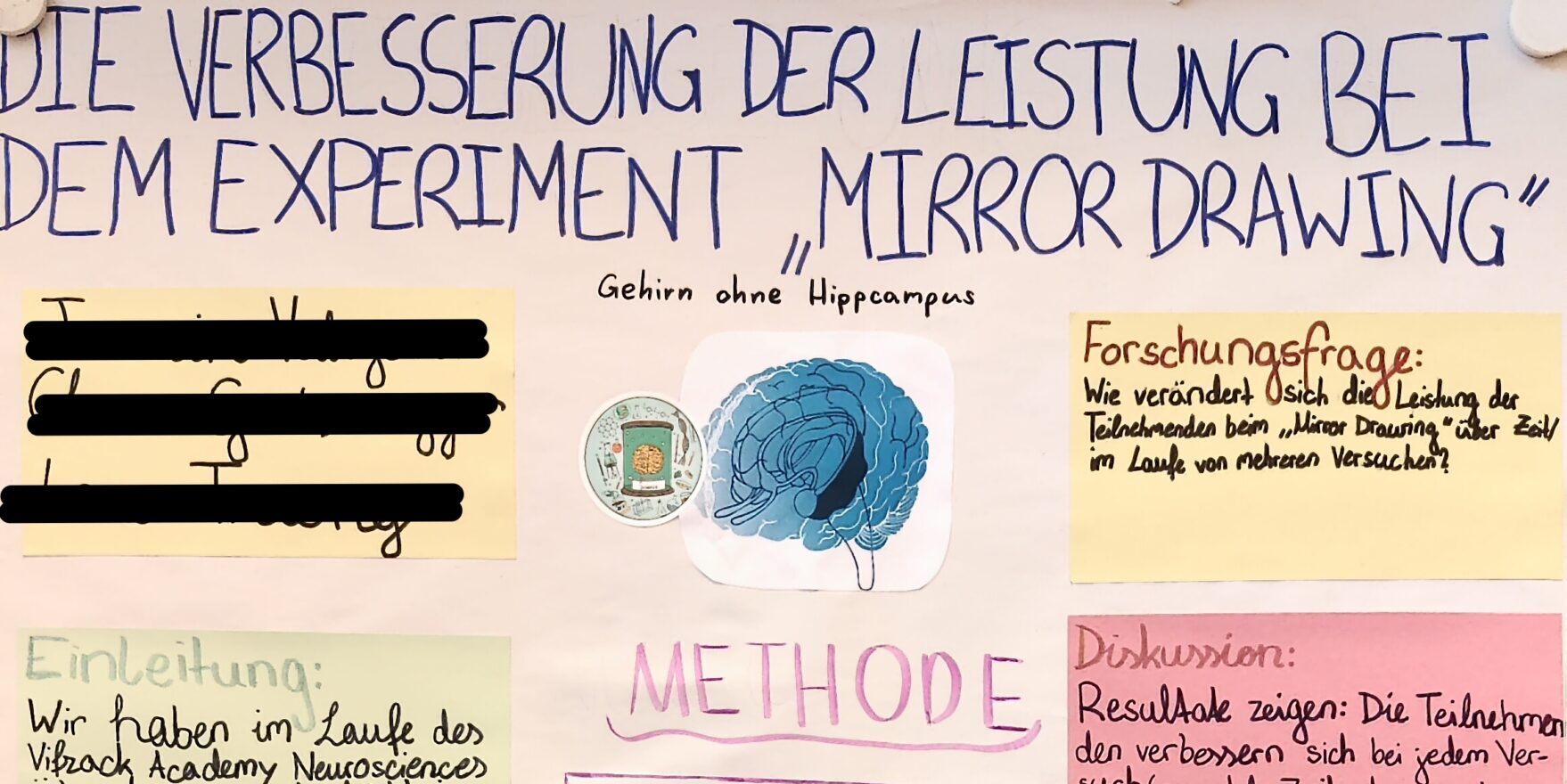 Wissenschaft hautnah: Unsere Schülerinnen bei der Vifzack Academy